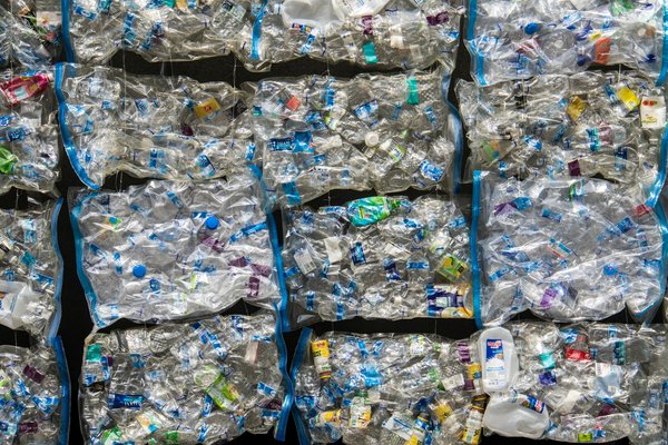 Comment créer un mur végétal intérieur avec des bouteilles en plastique recyclées ?